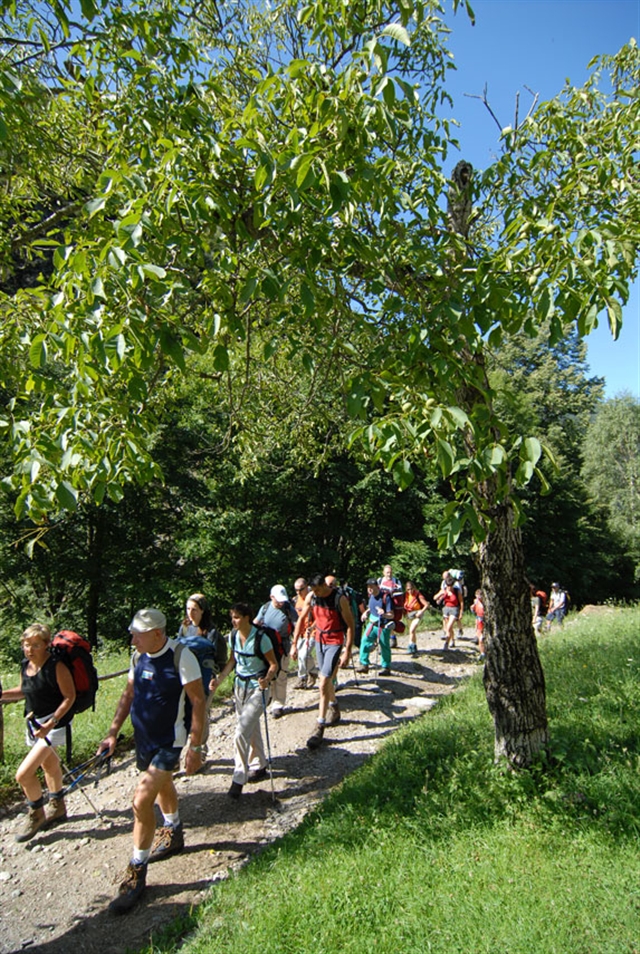 Il gruppo di eroi in bassa valle!